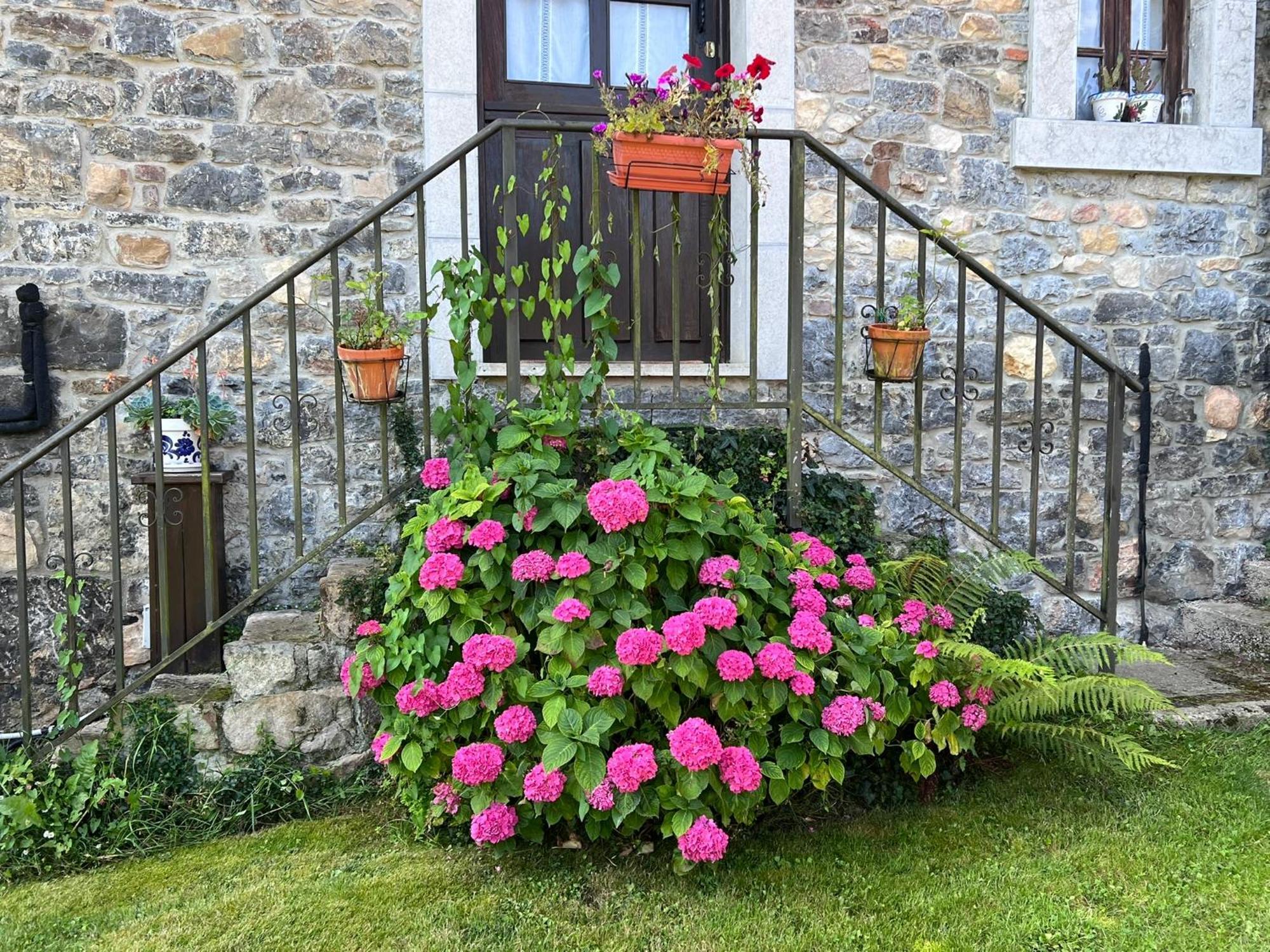 Casa Rural Casa Cerezal Cangas de Onís Exterior photo